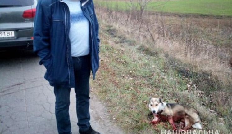 Полиция задержала жителя Хмельнитчины, который привязал к автомобилю собаку и тянул ее по дороге. ВИДЕО+ФОТО
