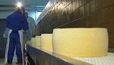 Russia Has Once Again Prohibited Sale of Ukrainian Cheeses