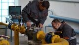 На ринку праці України найбільш затребуваними є робітничі професії, – Держслужба зайнятості