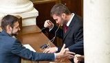 ПР назначила Януковича-младшего куратором Кировоградской области