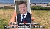 Редкий покемон