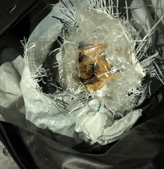 Спробу контрабанди в ЄС понад тонни бурштину блоковано на Закарпатті, - СБУ 03