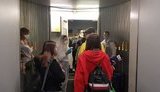 Літак МАУ забрав із Маямі 259 громадян України, зокрема 119 дітей, - посольство. ФОТОрепортаж