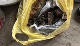 Нелегальний збут бурштину вартістю близько 6 млн грн припинено на Рівненщині, - СБУ. ФОТО