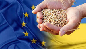 Україна за два місяці використала більше половини річної квоти на експорт пшениці до ЄС