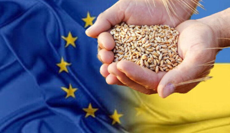 Україна за два місяці використала більше половини річної квоти на експорт пшениці до ЄС