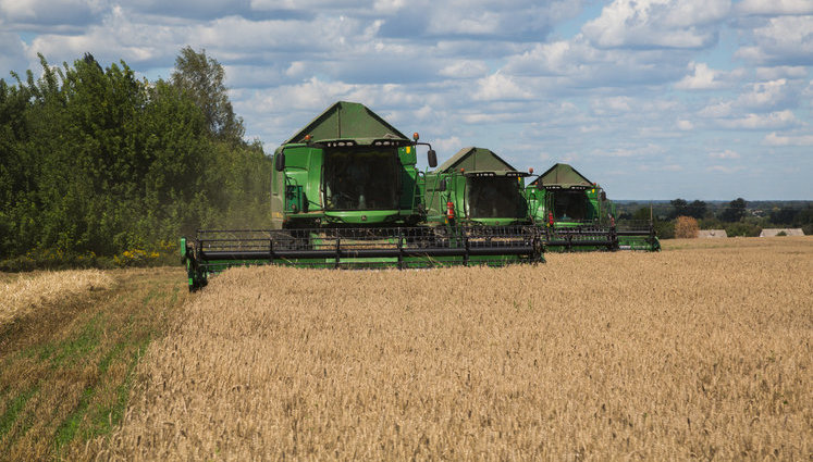 "Укрлендфарминг" завершил посев озимой пшеницы