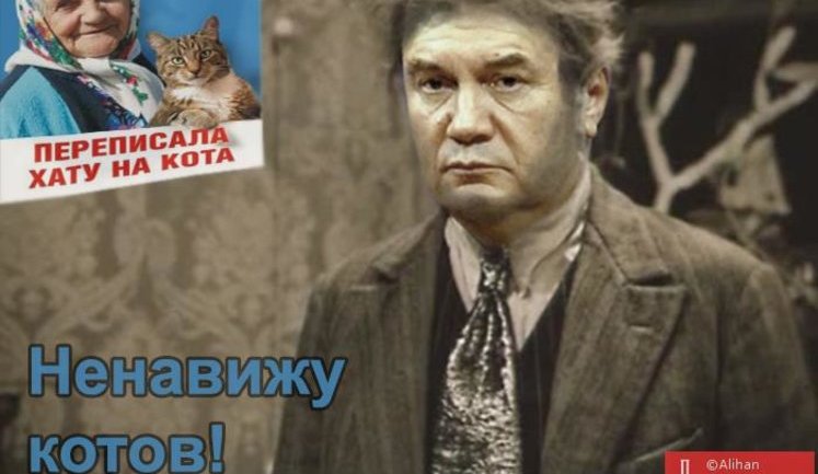 I Left the House to the Cat – Babushka Ad Memes. Part 2. PHOTOS
