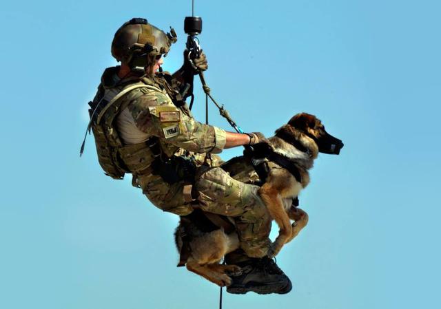 Weapon smarter than man 12 Weapon smarter than man 12