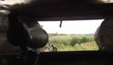 бойцы