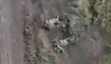 Occupiers lying on the road in Sumy region