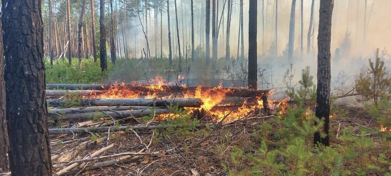 У Чорнобильській зоні зафіксували чотири осередки пожеж. Фахівці запевняють, що радіаційний фон залишається в межах норми.