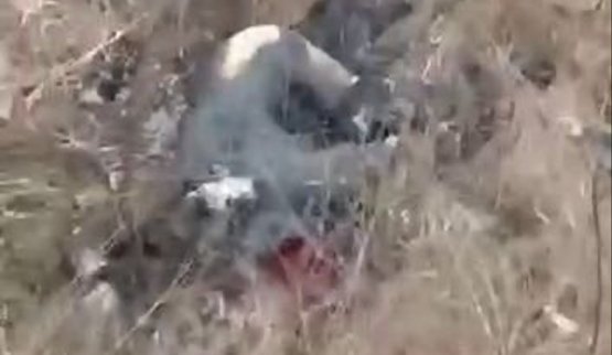 обгорілий росіянин