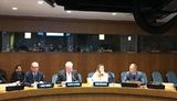 Співавторами резолюції ООН щодо Криму, що називає Росію країною-окупантом, стали понад 30 країн, - Джапарова