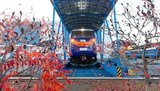 Какие проблемы ждут рынок при введении частной тяги на железной дороге