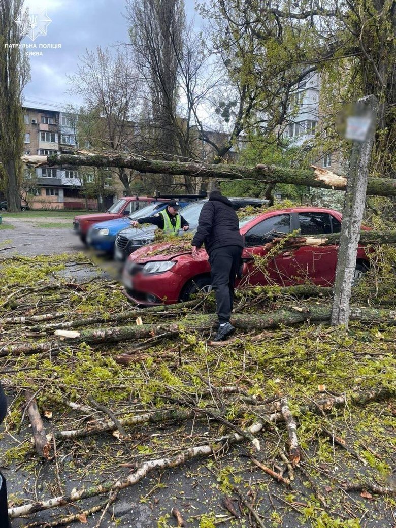 последствия непогоды