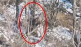 The occupier ties his accomplice to a tree