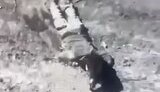 війна
