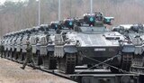 marder
