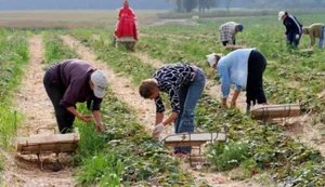 Польша стала лидером в Европе по занятости украинцев