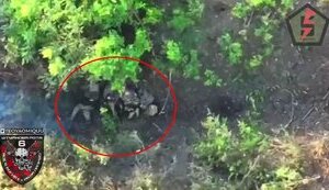 Воїни 5 ОШБр "вполювали" російську піхоту під Бахмутом: чимало "двохсотих". ВIДЕО