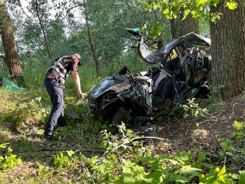 В ДТП под Киевом погибла женщина и пострадали дети, - Нацполиция 02