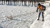 В Евпатории замерзают лебеди, вмерзая в лед. ФОТОрепортаж