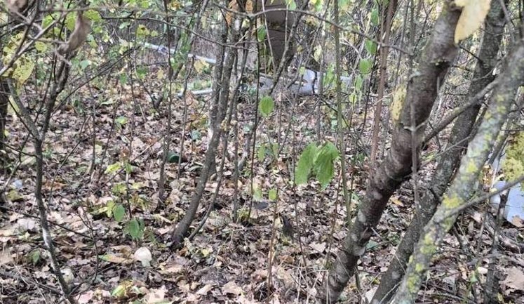Drone flew into Moldova and exploded on outskirts of village. PHOTO