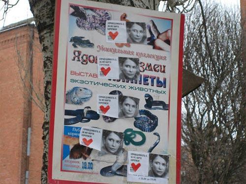 Истинное лицо Юли