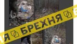 фейк,беременная