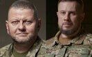 Залужний та Білецький у політичних рейтингах