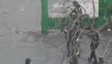 спецназ