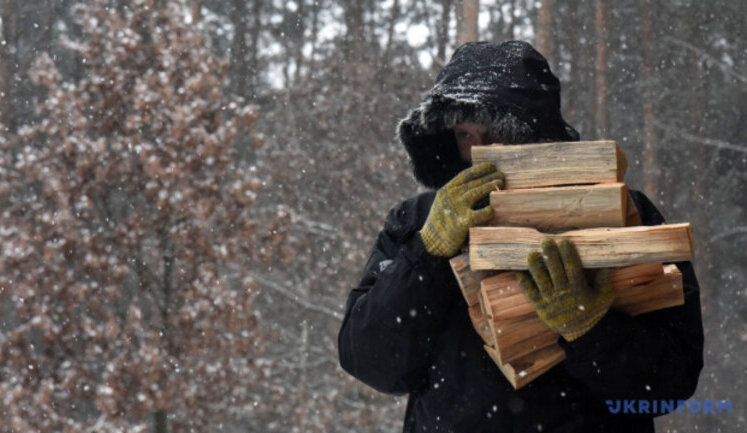 Зеленський не буде підписувати закон про кримінальну відповідальність за зберігання дров, - радник президента Литвин