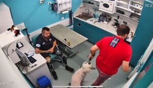 В Одесі відвідувач ветклініки облаяв лікаря-ветерана, який втратив обидві ноги на війні. ВІДЕО+ФОТО