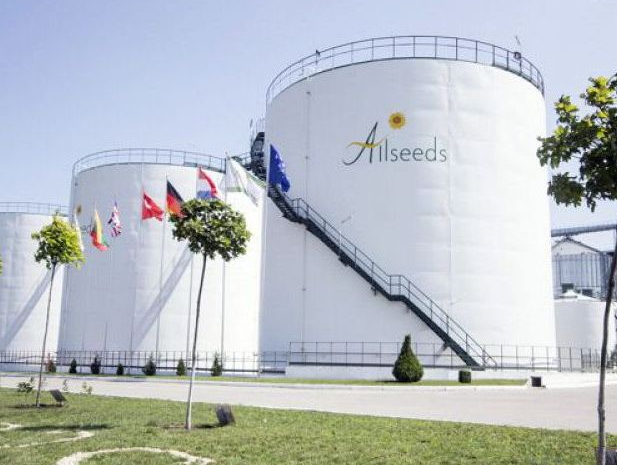 Группа Allseeds: Капитализация доверия и эффективности. PROMOTED 02