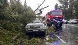 Рятувальники здійснили 7 виїздів для ліквідації наслідків негоди в Києві. ФОТО
