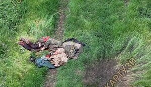 Наші воїни зафіксували нову "дорогу смерті" на Покровському напрямку: десятки тіл росіян валяються серед поля. ВIДЕО