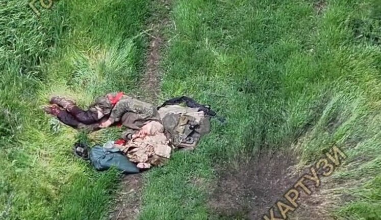 Наші воїни зафіксували нову "дорогу смерті" на Покровському напрямку: десятки тіл росіян валяються серед поля. ВIДЕО