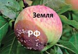 Простий приклад