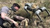 ЗСУ використовують роботів-собак
