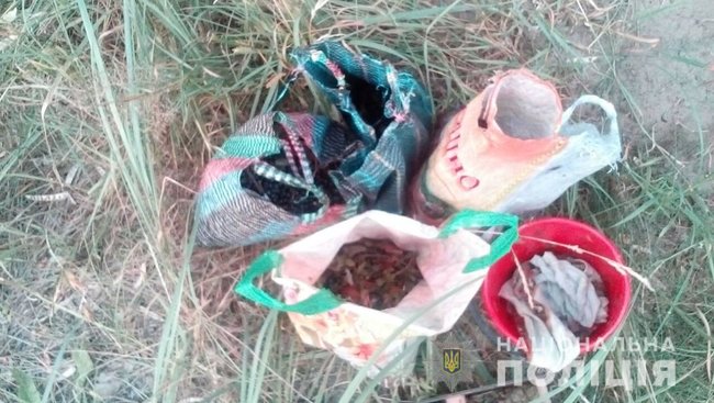 Жінка зібрала в зоні ЧАЕС 14 кг чорниці і збиралася продати її на ринку, - Нацполіція 03