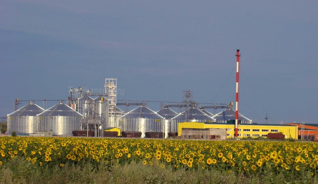 Захист виробництва і вето президента - в чому причини скандалу щодо законопроекту №6776-д 02