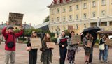 "Міша не буде заважати картонковому майдану з гаслами про відставку Президента. Йому подобається", - "слуга народу" Богуцька