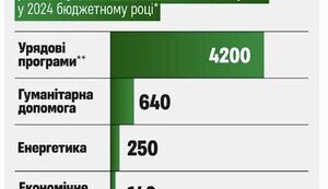 Платна боротьба за справедливість: чек-поінт