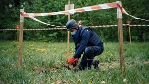 Свыше 600 пиротехников ГСЧС привлечены к разминированию территории Украины, - МВД