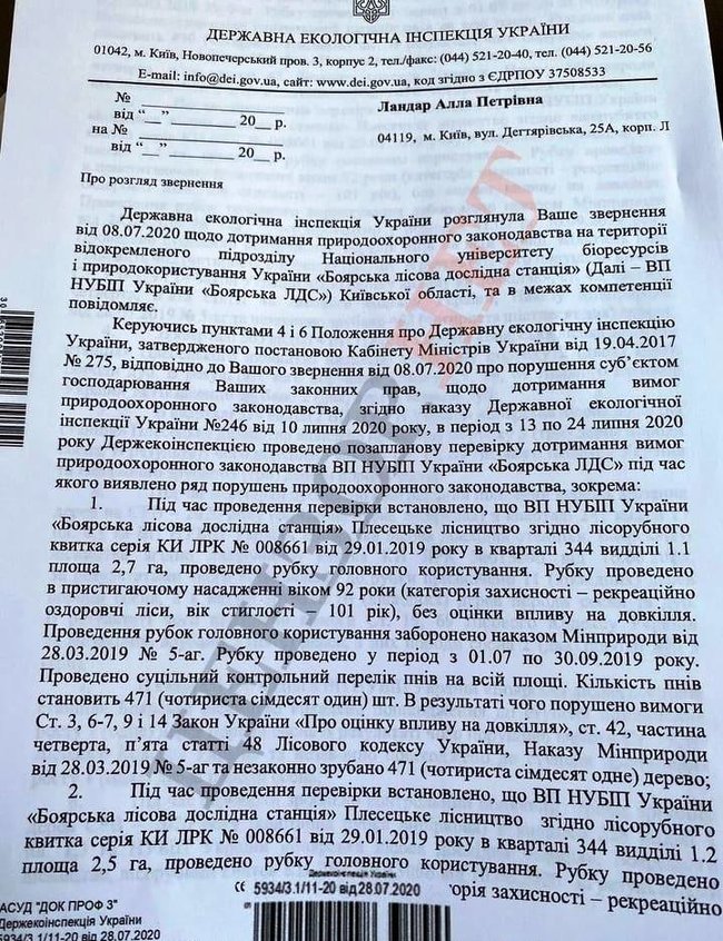 Вирубка 1363 дерев під Києвом завдала збитків на суму понад 11 млн, відкрито кримінальне провадження 01