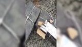 контрабанда сигарет