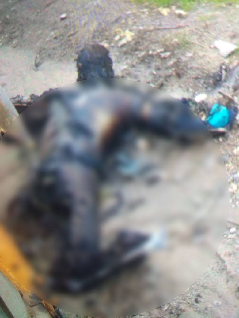 Погрузила останки сожженного сына на тачку, повезла к дому и похоронила в воронке от снаряда, - Елена Валиулина о зверстве россиян на Харьковщине 04