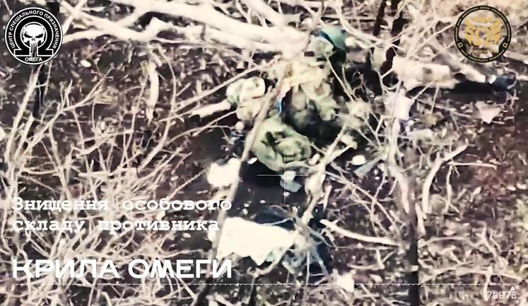 "Крила ОМЕГИ" підірвали артилерією окупанта, що ховався в хащах. ВIДЕО
