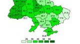 Имеет ли право на жизнь "проект Галичина"